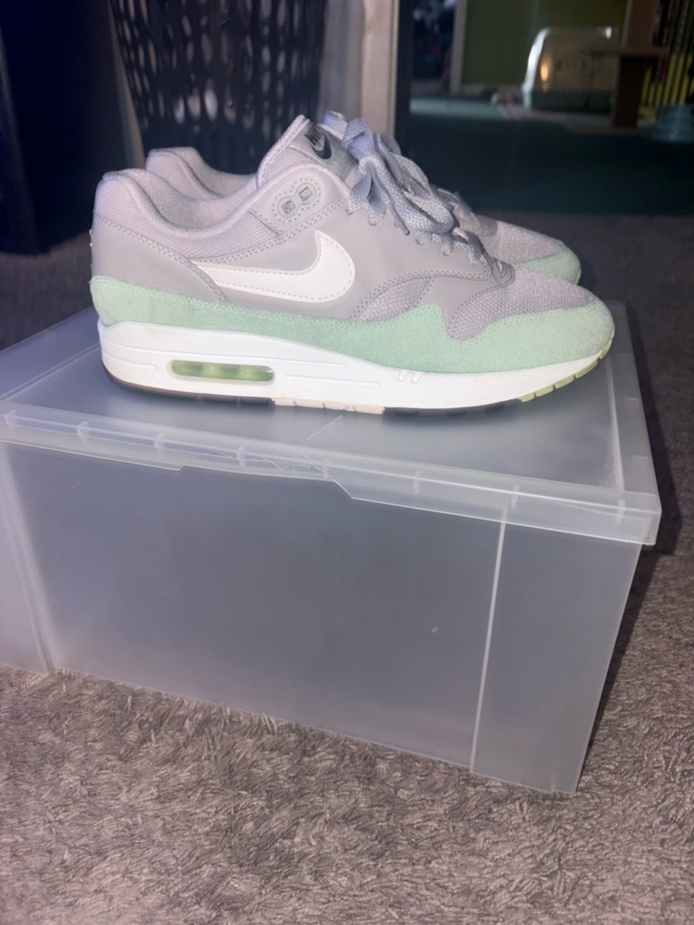 Nike Air Max Low Top Sneakers in Light Gray & Mint